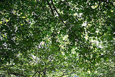 2D类银河恶魔城新作《Vernal Edge》今日发售