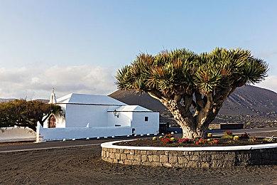 2025年Steam新品节来袭！WiseGames诸多新品等你来